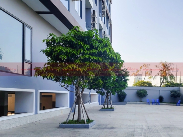 209 Bedrooms Whole Building For Lease In The Tuol Songke Area 66 209 Bedrooms Whole Building For Lease In The Tuol Songke Area